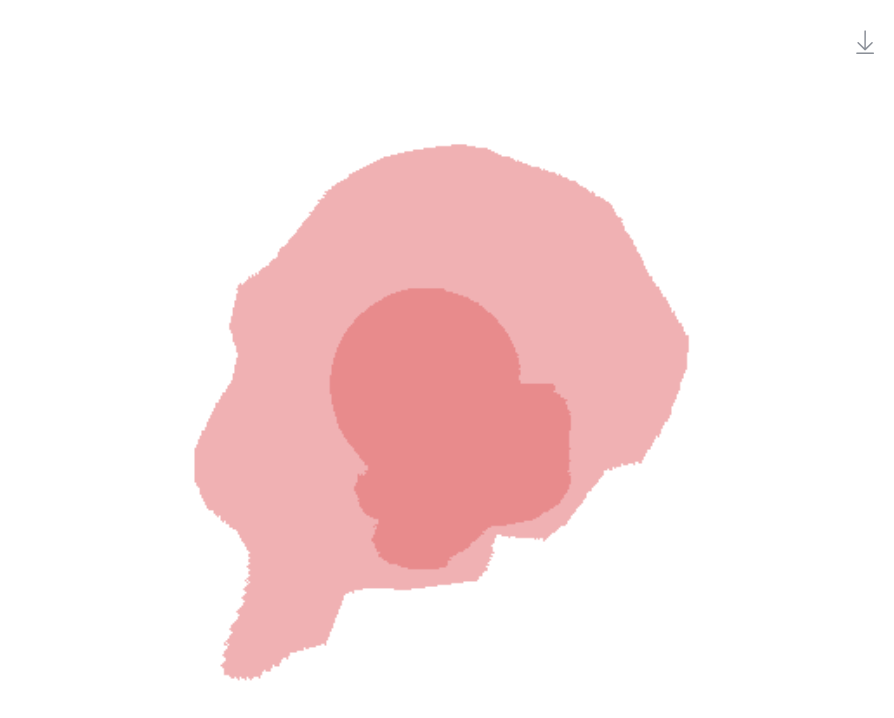 Segmentation Output